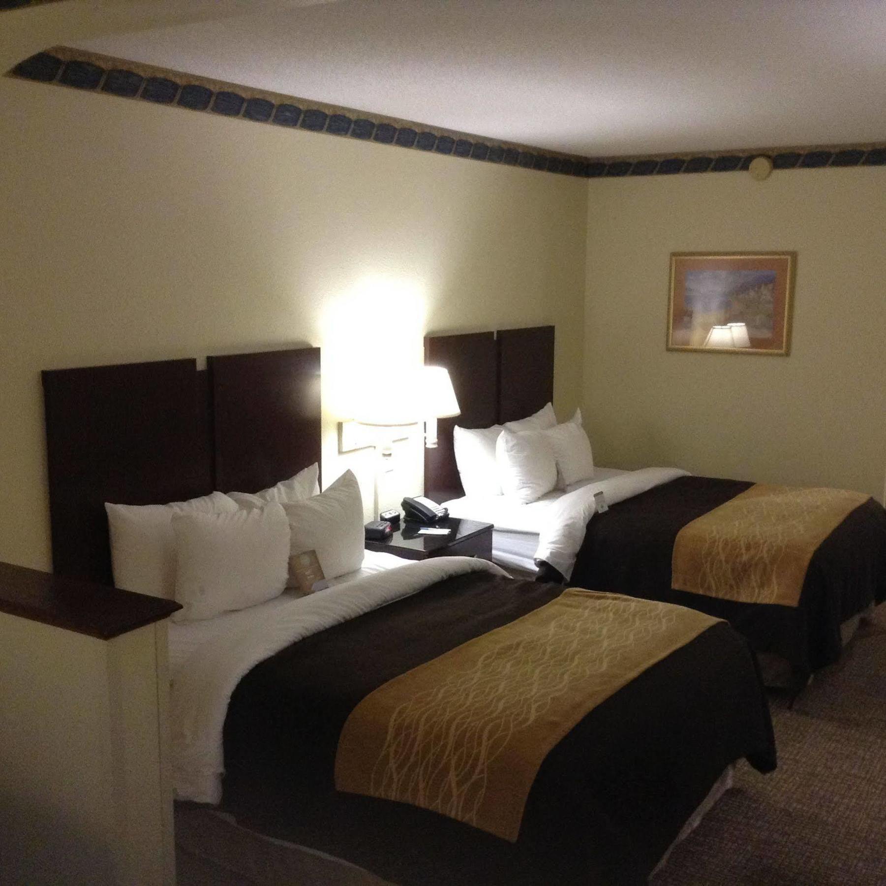 Comfort Inn & Suites Ftjackson Maingate Колумбія Екстер'єр фото
